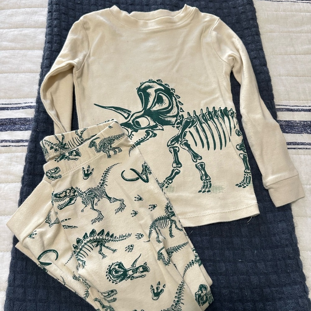 Dinosaur Print Kids Pajama Set